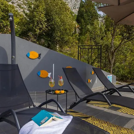 2m * 마카르스카